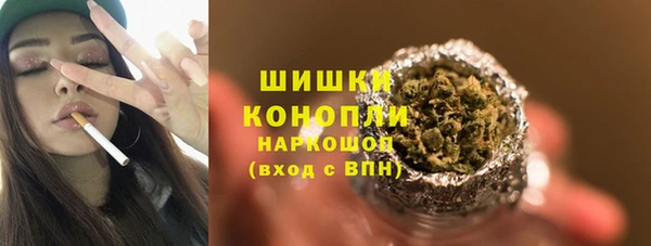 гидропоника Белокуриха