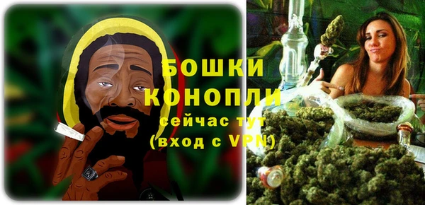 гидропоника Белокуриха