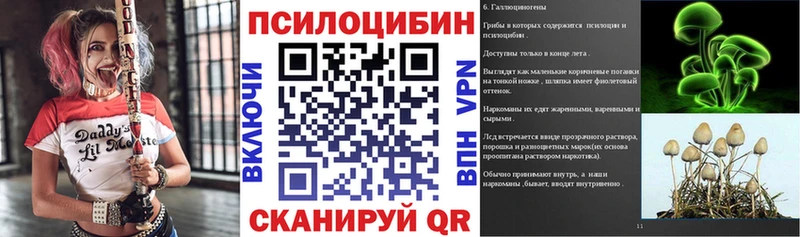 Галлюциногенные грибы MAGIC MUSHROOMS  Купить закладки  Шебекино 